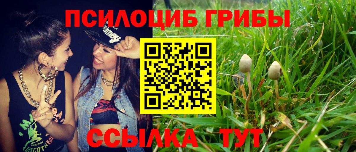 Фролово  Псилоцибиновые грибы ЛСД  Вход с VPN 